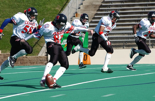 功无疑为国 功无疑为国