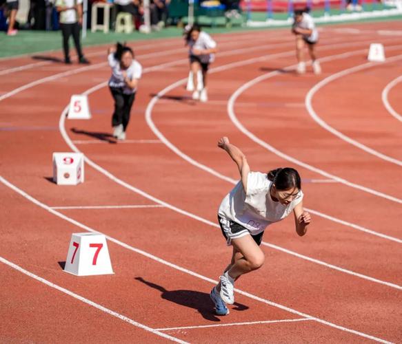 亮相机会 亮相机会