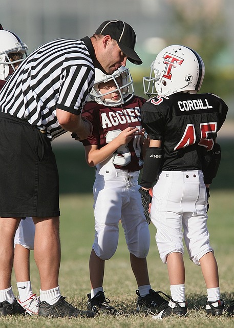 的起跳板 的起跳板