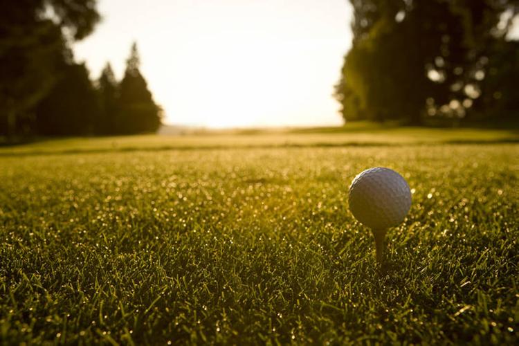 在信息展示 在信息展示