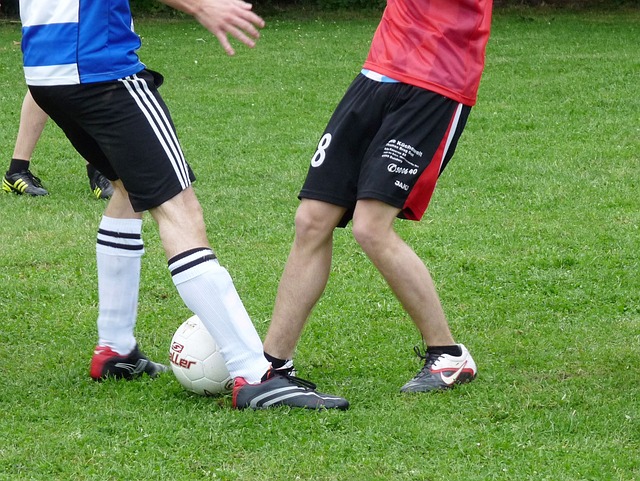 成长为湖人 成长为湖人